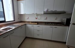 Central Green Condominium (D3), Condominium #500175851